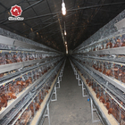 Dipped Galvanized Chicken Layer Battery Cage Wire Mesh 4 layers