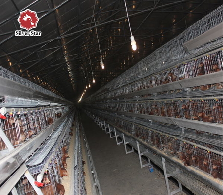 120 Capacity Hot And Cold Battery Chicken Cage A Type