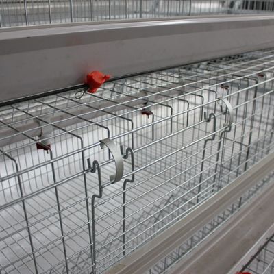Automated H-Type Broiler Cage System - Hot-Dip Galvanized High-Density Commercial Poultry Farming Equipment