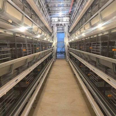 4 Tiers Layer Chicken Cage Featuring Feeders Suitable for Intensive Layer Hen Housing and Streamlined Feeding Operations