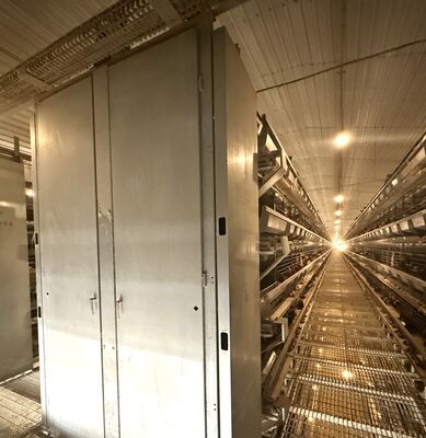 Heavy Battery Chicken Cage Designed to Optimize Egg Production and Enhance Poultry Health in Commercial Farms