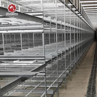 Poultry Cage/cages for Laying Hens Used/chicken Breeding Equipment