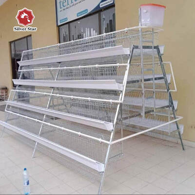 Automatic Egg Laying Battery Chicken Cage 3/4 Tiers for 120 Chickens Poultry Farm Cage