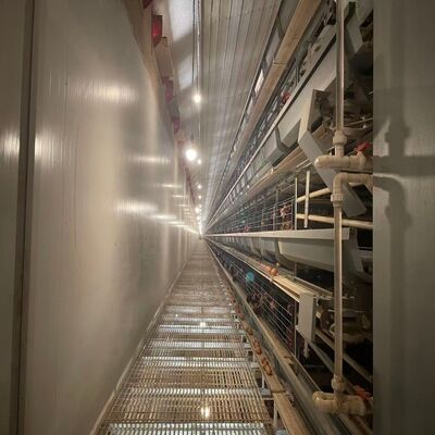 Automatic Poultry Farm Equipment High-Density H-Type Layer Battery Chicken Cage System for Egg Production Farm