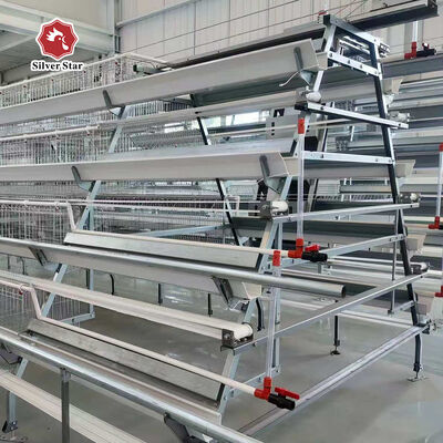Hot-Dip Galvanized A-Type Broiler Chicken Cage with Automatic Manure Removal and High Density for Poultry Farm