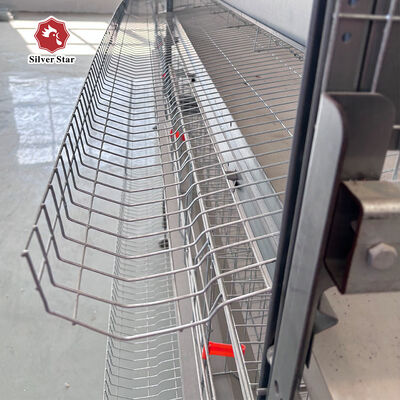 H Type Layer Chicken Cage System for Large Scale Commercial Poultry Farms