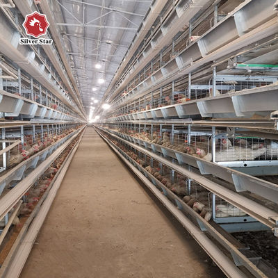 380/220V Layer Farming Cage , Q235 Chicken Laying Eggs Cage