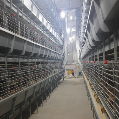 Factory Direct H-Type Broiler Battery Cage System with Hot-Dip Galvanizing, Soft Plastic Mesh Mats & Automatic PP Belt Manure Cleaning