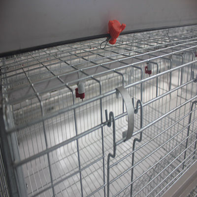 Factory Direct H-Type Broiler Battery Cage System with Hot-Dip Galvanizing, Soft Plastic Mesh Mats & Automatic PP Belt Manure Cleaning