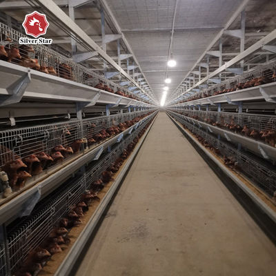 Commercial H-Type Meat Broiler Battery Cages | Automated Intensive Broiler Farming Solution