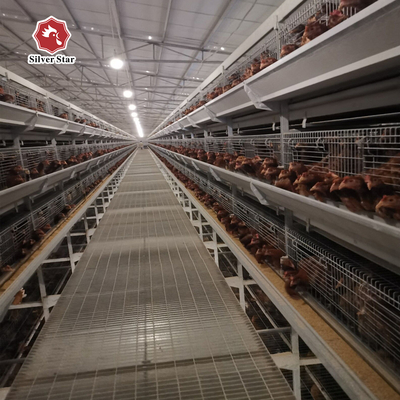 Customized Multi Layer Poultry Cage Automatic Egg Collection Cages