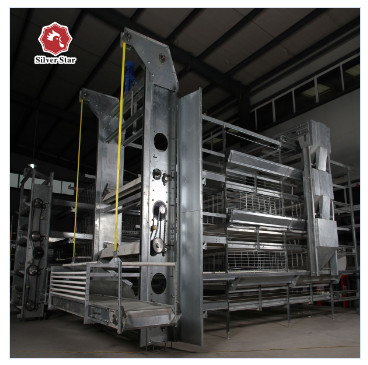 108-144Birds Poultry Cage 3-4Layers Broiler Raising Equipment