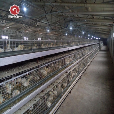Q235 Battery Cages Laying Hens Chicken Farming Materials A Type