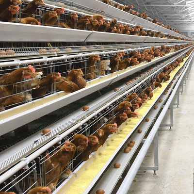 養鶏場向け、3段式A型レイヤーチキンケージシステム、溶融亜鉛メッキ鋼製＆自動給餌