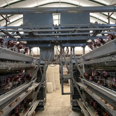 家禽 H タイプ 3 段 4 段産卵鶏層卵鶏ケージ