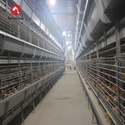 モダン自動H型ブロイラー養鶏ケージシステム | 高密度食肉鶏飼育設備