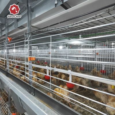 現代家禽飼育のための自動給餌と清掃のH型ブロイラー鶏ケージシステム