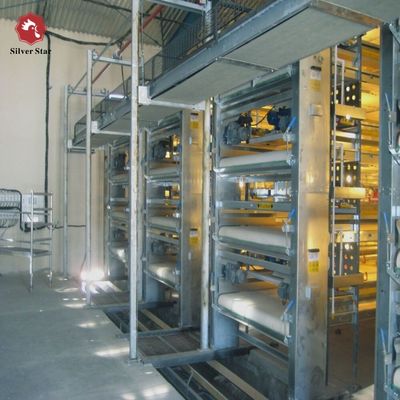 精密エンジニアリングH型ブロイラーケージシステム | 高収量商業家禽生産設備
