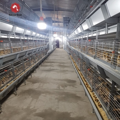 H type Complete Automatic Broiler Chicken Cage 4 Tiers