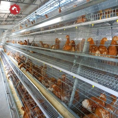鶏場用A型ブロイラー用電池ケージシステム
