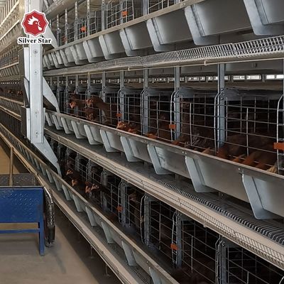H型自動層電池ケージシステム 商用家禽飼育場 - 熱浸しガルバン化,自動卵収集,使用寿命15〜20年