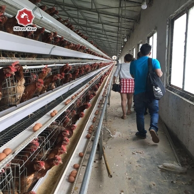 Q235 Steel Mire Battery Layer Chicken Cage Breeding Hens Cage