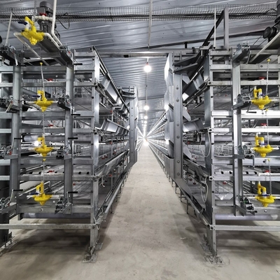 鶏飼育設備 H型自動システム バッテリー ブロイラー チキンケージ