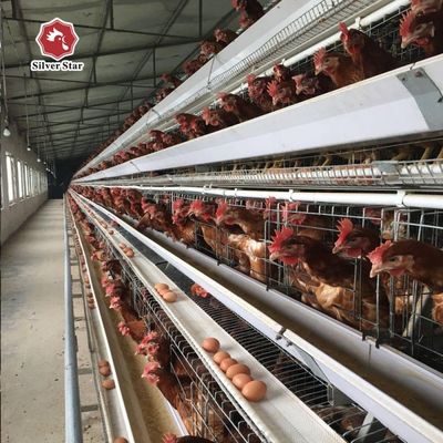 養鶏場向け、自動給餌・集卵機能を備えたA型3段/4段式鶏舎システム、溶融亜鉛メッキ鋼