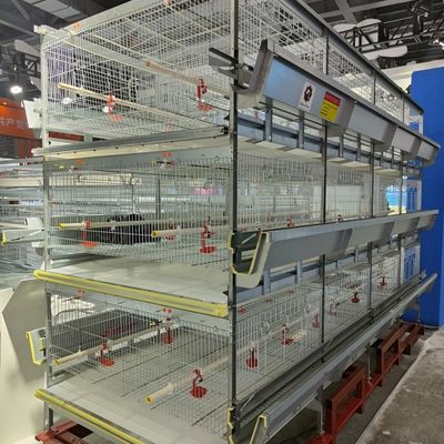 ホット亜鉛メッキと100-300羽のひよこ収容能力を備えた自動H型ひよこ育雛ケージシステム