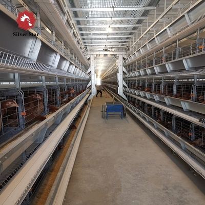 H型自動層電池ケージシステム