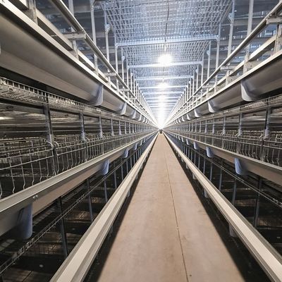 ホットディップガルバン化H型層ケージ 大型家禽飼育のための自動飼料付き高容量自動家禽ケージ