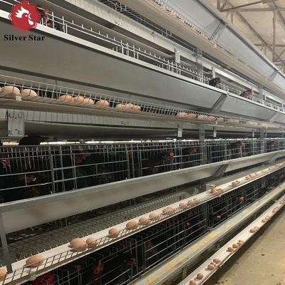 自動気候制御付き高効率H型商業産卵鶏ケージ