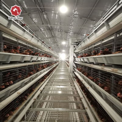 H型レイヤー鶏ケージ、3〜8段で54〜216羽の鶏に対応、20年の耐用年数