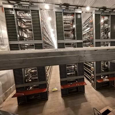 商用 養殖 場 で の 卵 生産 を 最適 化 し,家禽 の 健康 を 向上 さ せる ため に 設計 さ れ た 重い 電池 型 鶏 檻