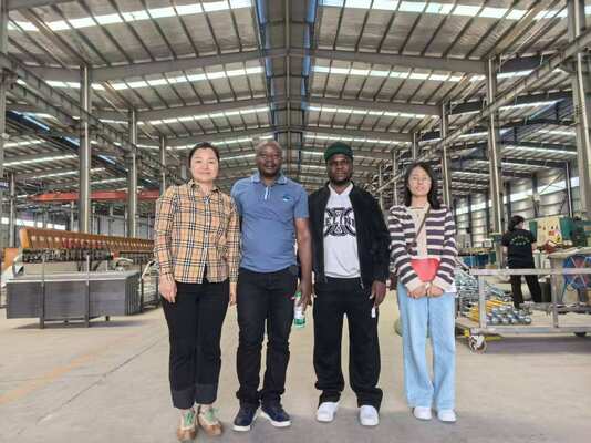 Hot-Dipped Galvanized Steel Fully Automatic Broiler Cage System with 3 or 4 Tiers for Poultry Farming