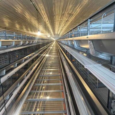 密集層の鶏飼育と簡素化された飼育操作に適した飼料器を備えた4層層層の鶏檻