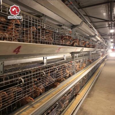 自動A型赤ちゃんチキンの繁殖ケージシステム,ホットディップガルバン化と自動乳首飲み器100-300鶏/セット