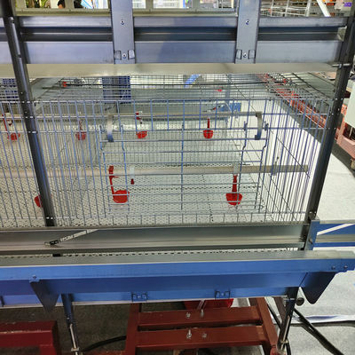 Poultry Equipment Broiler Chicken Cage 100kg Load Bearing Not Broken