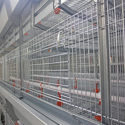 H Type 500cm2 Meat Chicken Cage , ISO9001 3/4 Tiers Broiler Poultry Equipment