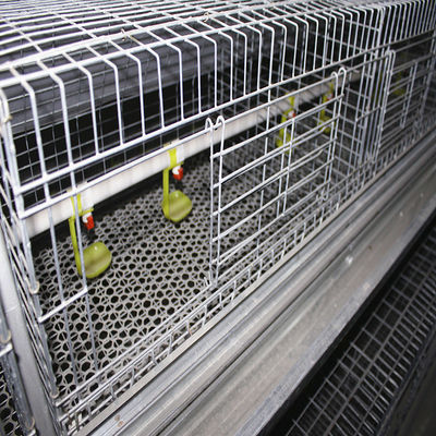 Customized Multi Style Baby Chick Cage Multi Broiler Chicken Cage Poultry Equipment