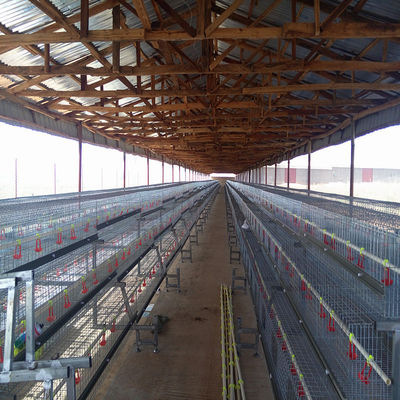 Hot Dip Galvanized Poultry Cages For Chicken Farms Baby Chickens