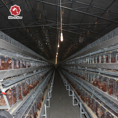 Galvanized 3-10Tiers H Type Layer Cage , 384 Chicken Egg Laying Cages