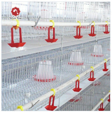 鶏場用A型ブロイラー用電池ケージシステム