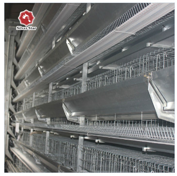 200-300 Chickens / Set Hot Dip Galvanized Chicken Cage For Farms Broiler Cage